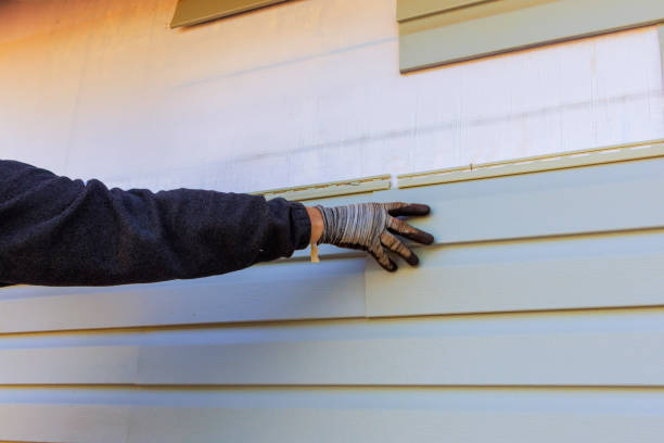 Best Custom Siding Design  in Buxton, NC